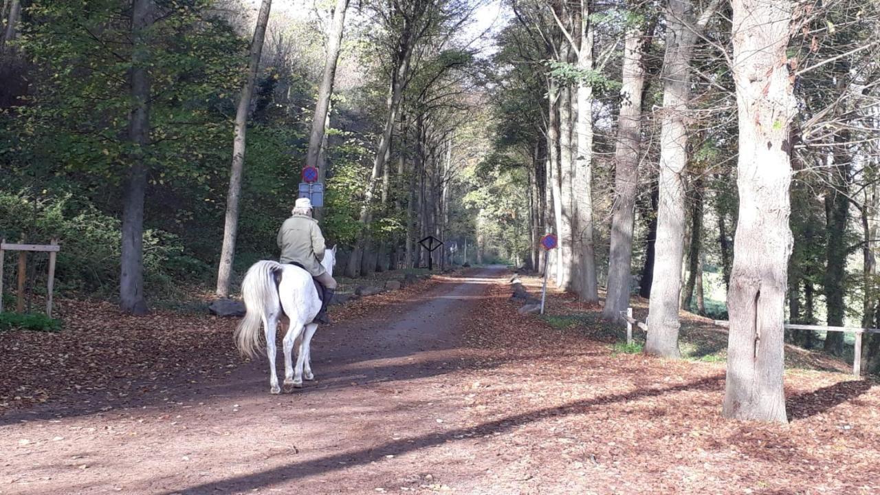 Kanne: Charming House Between Nature And Shopping Eksteriør bilde