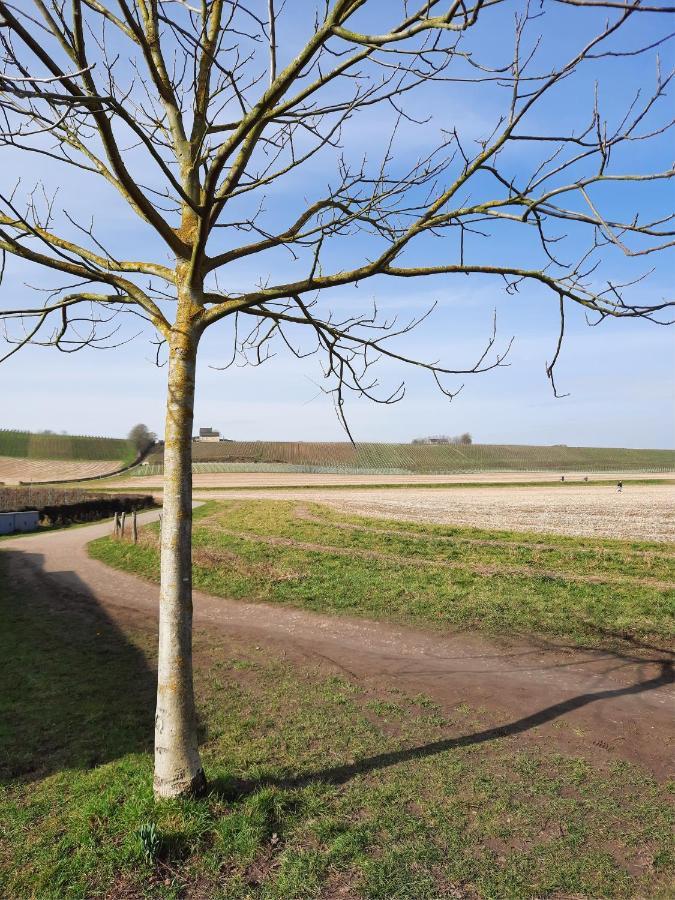 Kanne: Charming House Between Nature And Shopping Eksteriør bilde